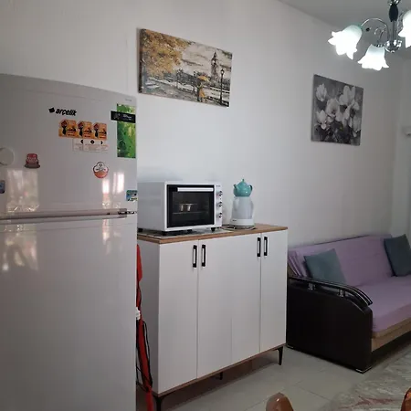 Apartament Guenisigi &