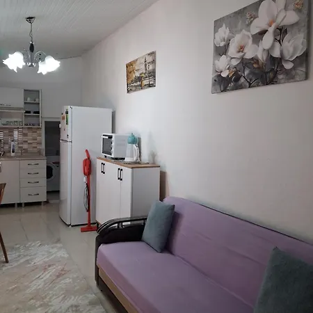 Apartament Guenisigi & *
